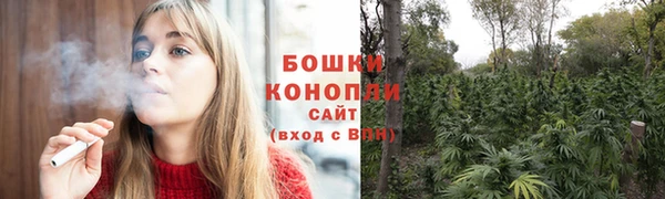 шишки Гусев