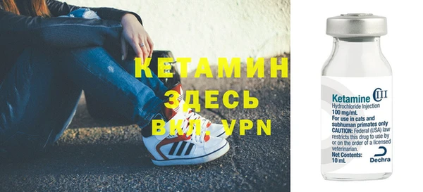 шишки Гусев