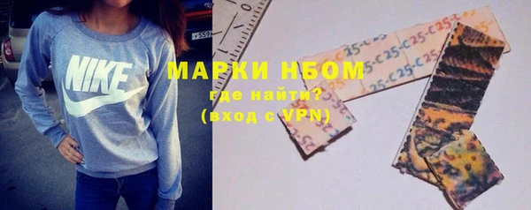 шишки Гусев