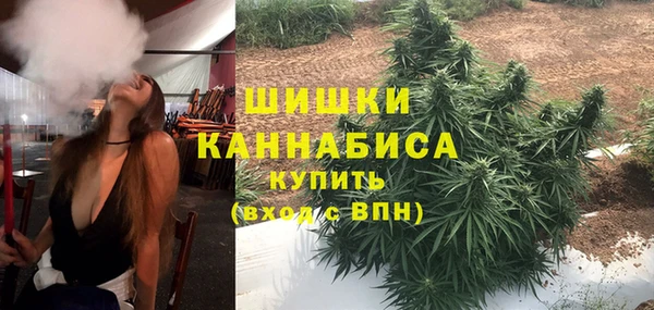 мет Гусиноозёрск