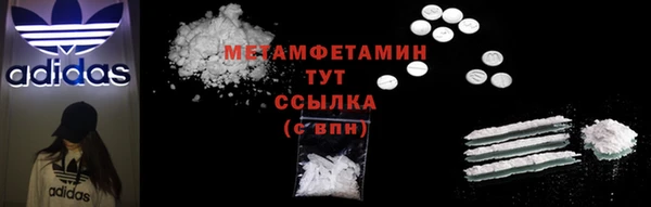 шишки Гусев