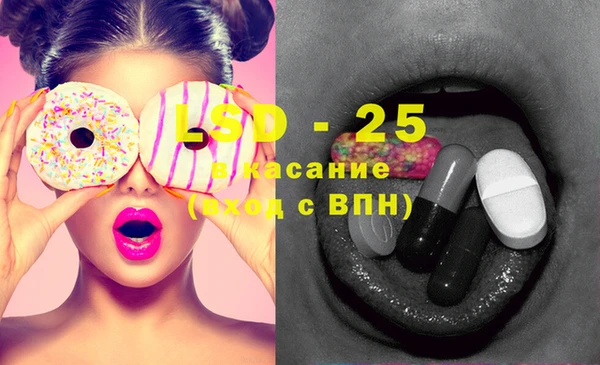 шишки Гусев