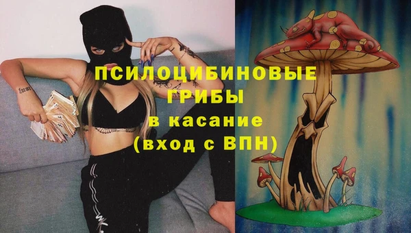 шишки Гусев