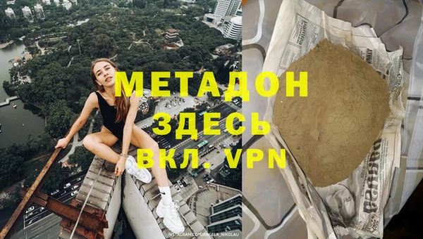 шишки Гусев