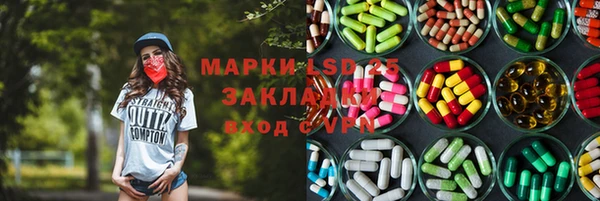 шишки Гусев
