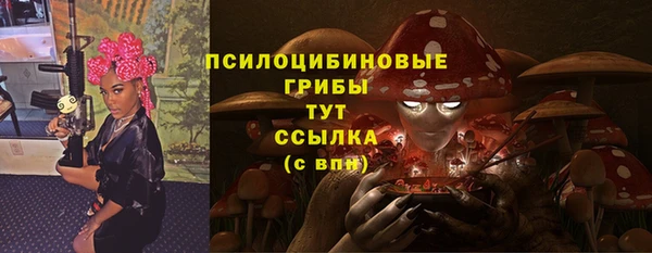 мет Гусиноозёрск