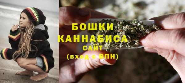 шишки Гусев