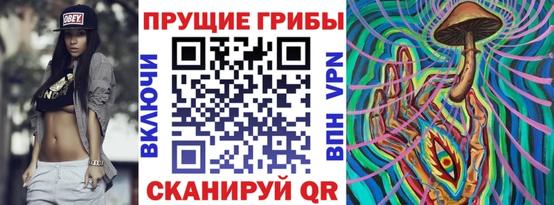 Галлюциногенные грибы ЛСД купить закладку сайты даркнета клад Губаха