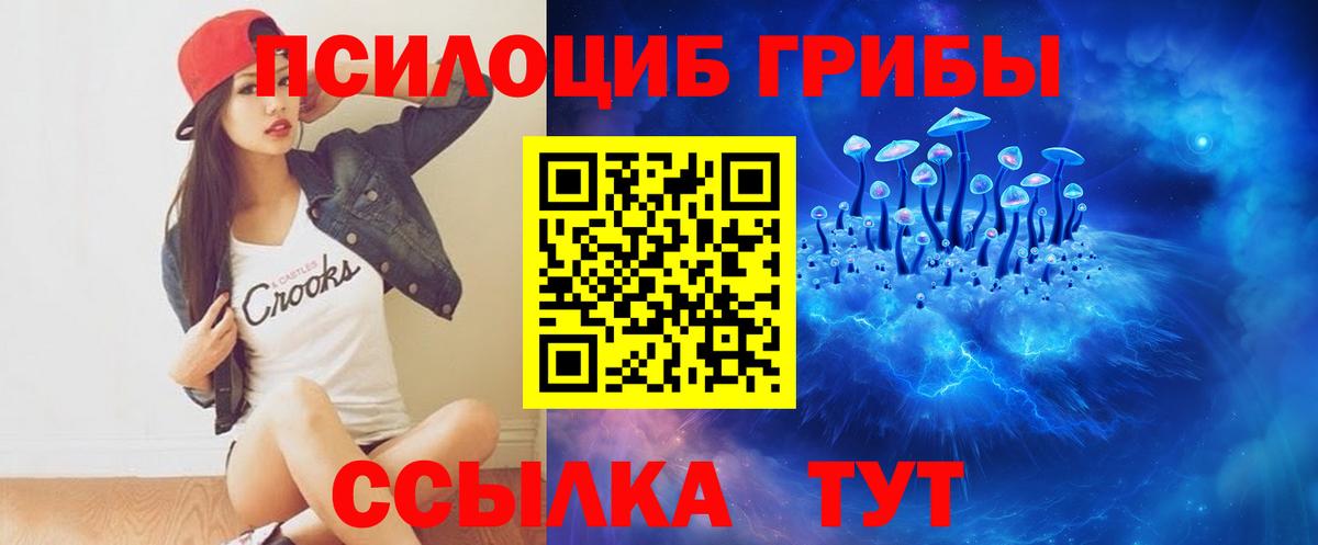 Псилоцибиновые грибы ЛСД Губаха